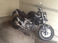 Suzuki Sfv 650                                                                   - Изображение #1, Объявление #855727